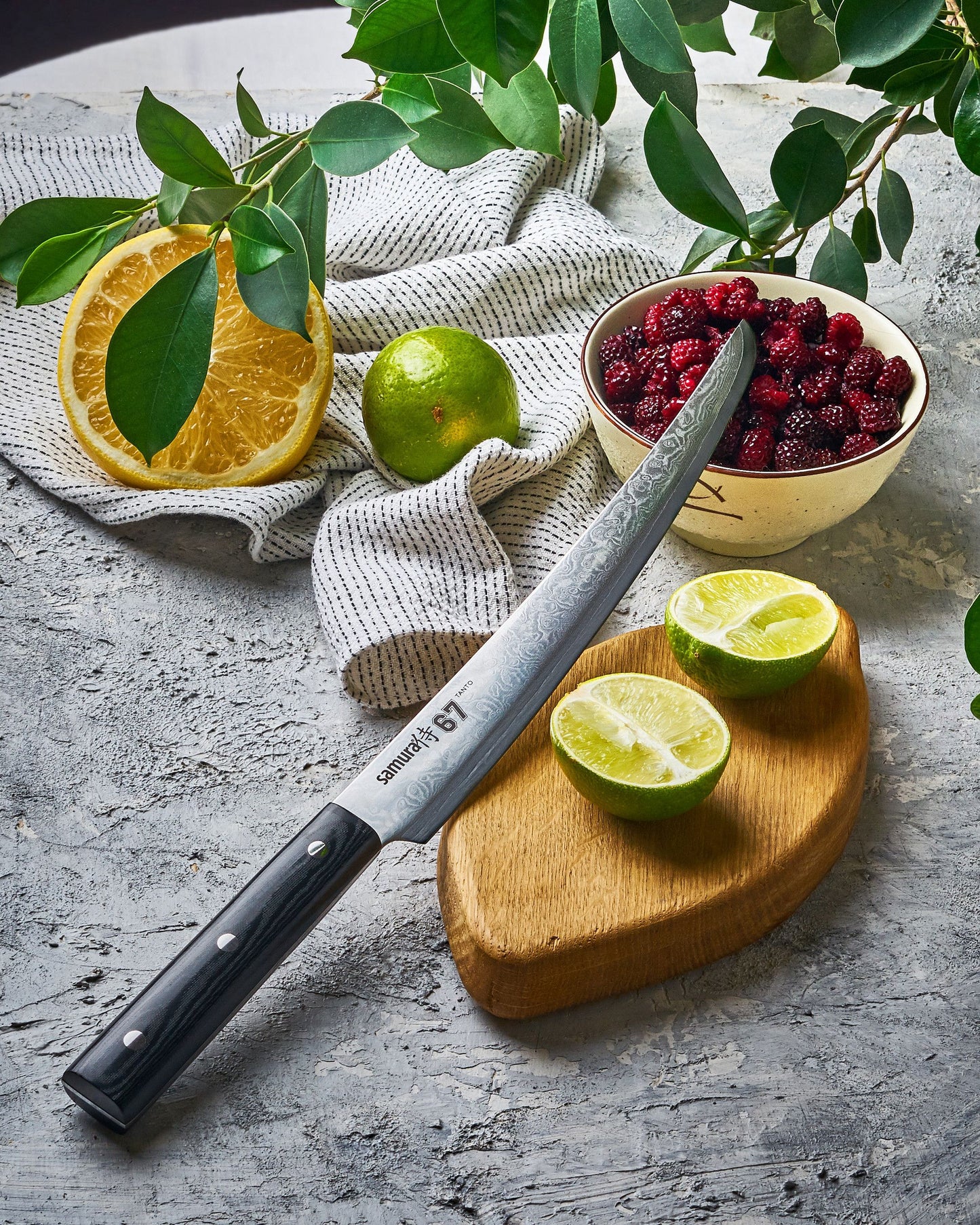 67 Damascus Tanto Slicing Knife